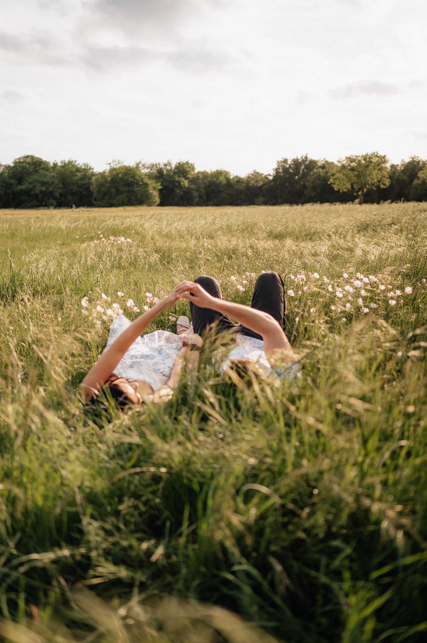 Person lying in tall grass taking photo with phone amidst wildflowers at sunset.