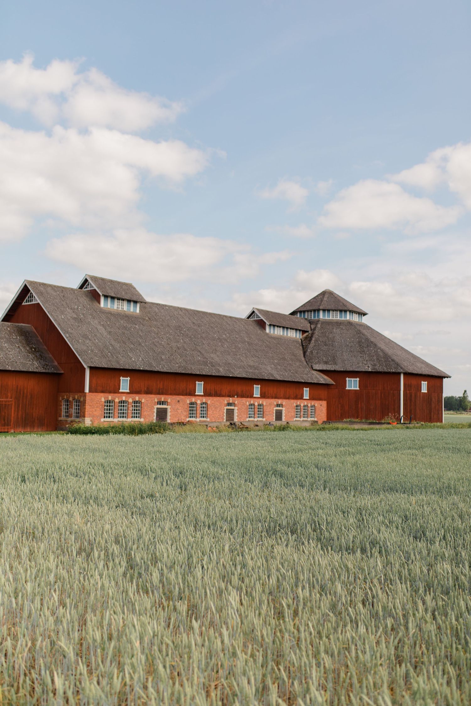 Large red barn with dormers and cupolas stands in middle of wheat field under partly cloudy blue sky.