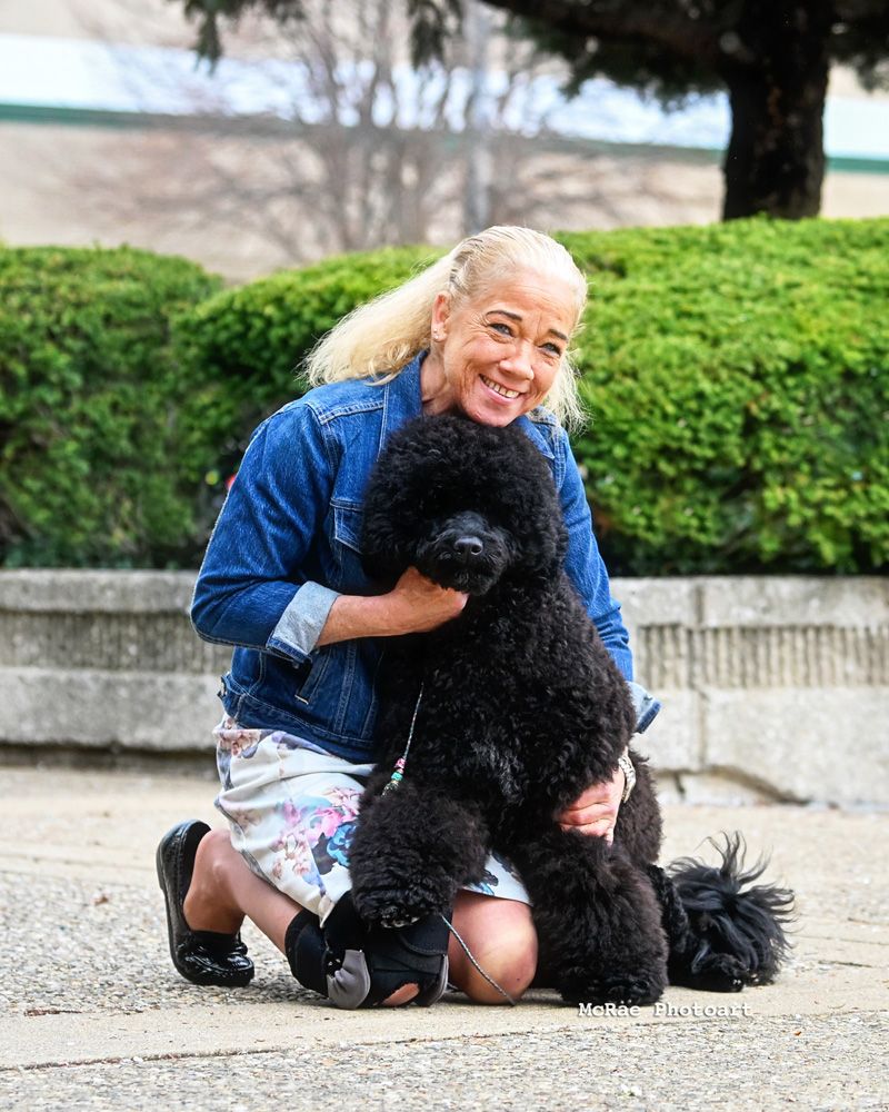 Portuguese Water Dog with handler