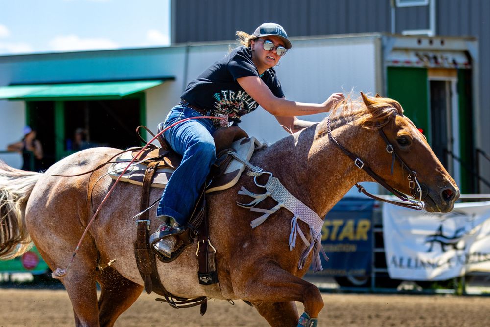 Bash it up Jackpot barrel racer looks at the photographer/eye