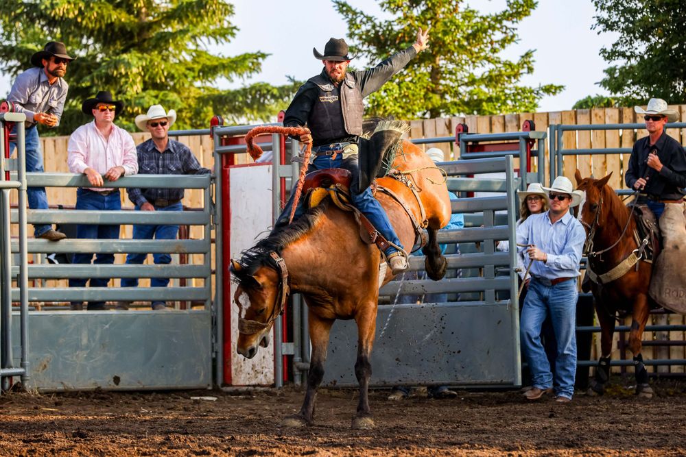 Bronc rider competing in rodeo event as horse bucks against evening sky.
