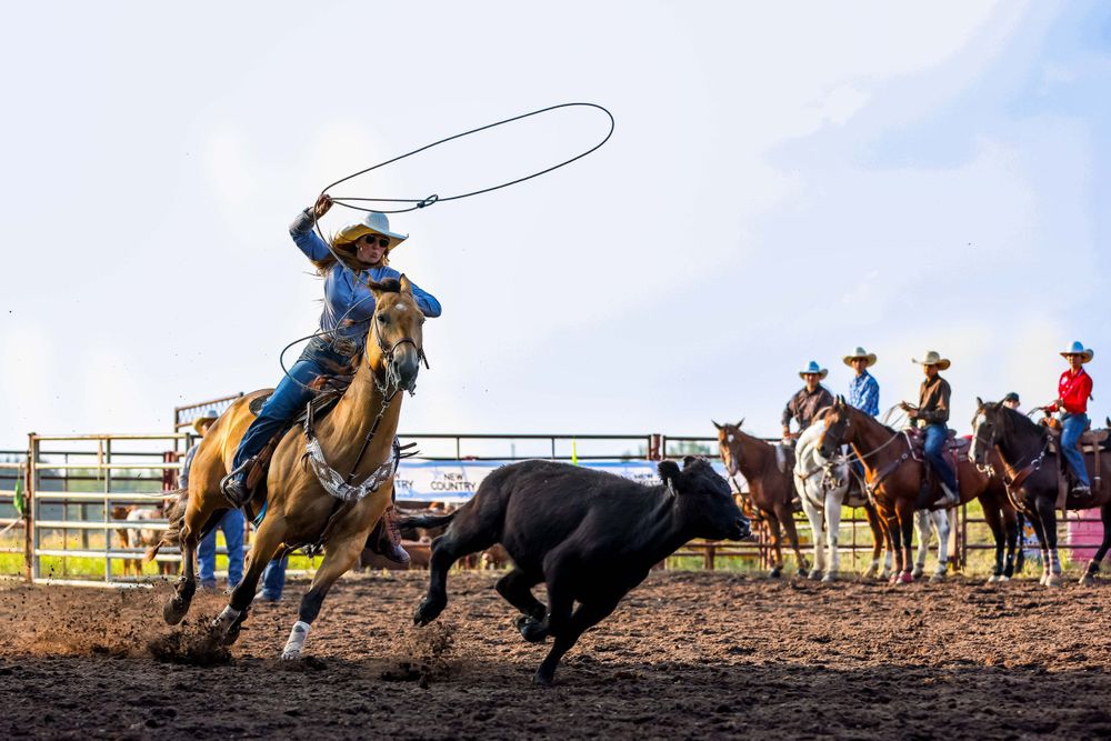 Cowboy on horseback swings lasso during rodeo competition with spectators in background.