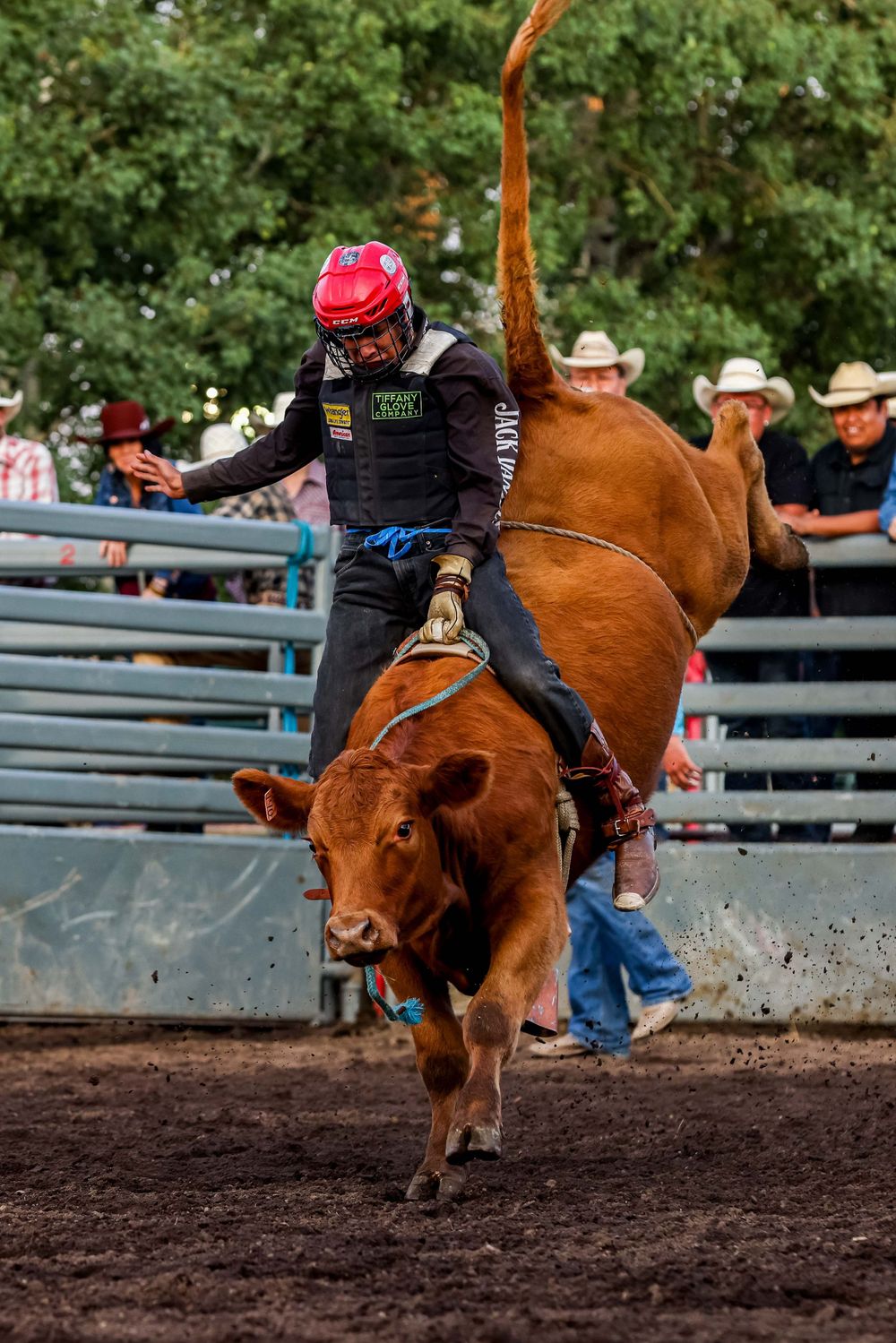 Bull rider in protective gear attempts to stay mounted on bucking red bull during rodeo.