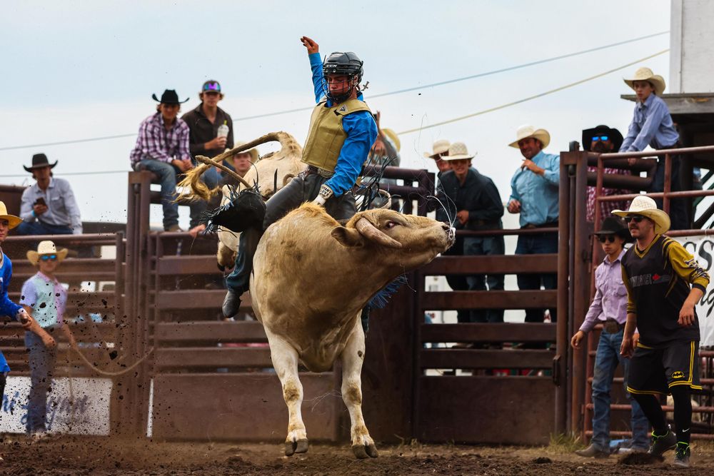 Bull rider competing at rodeo event