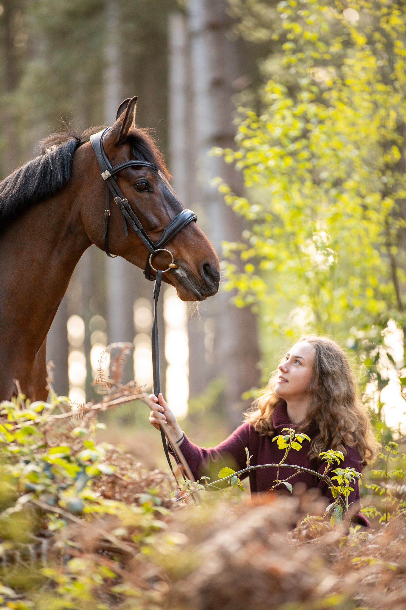 Bay horse and rider enjoying a peaceful moment in an autumn forest with yellow foliage.