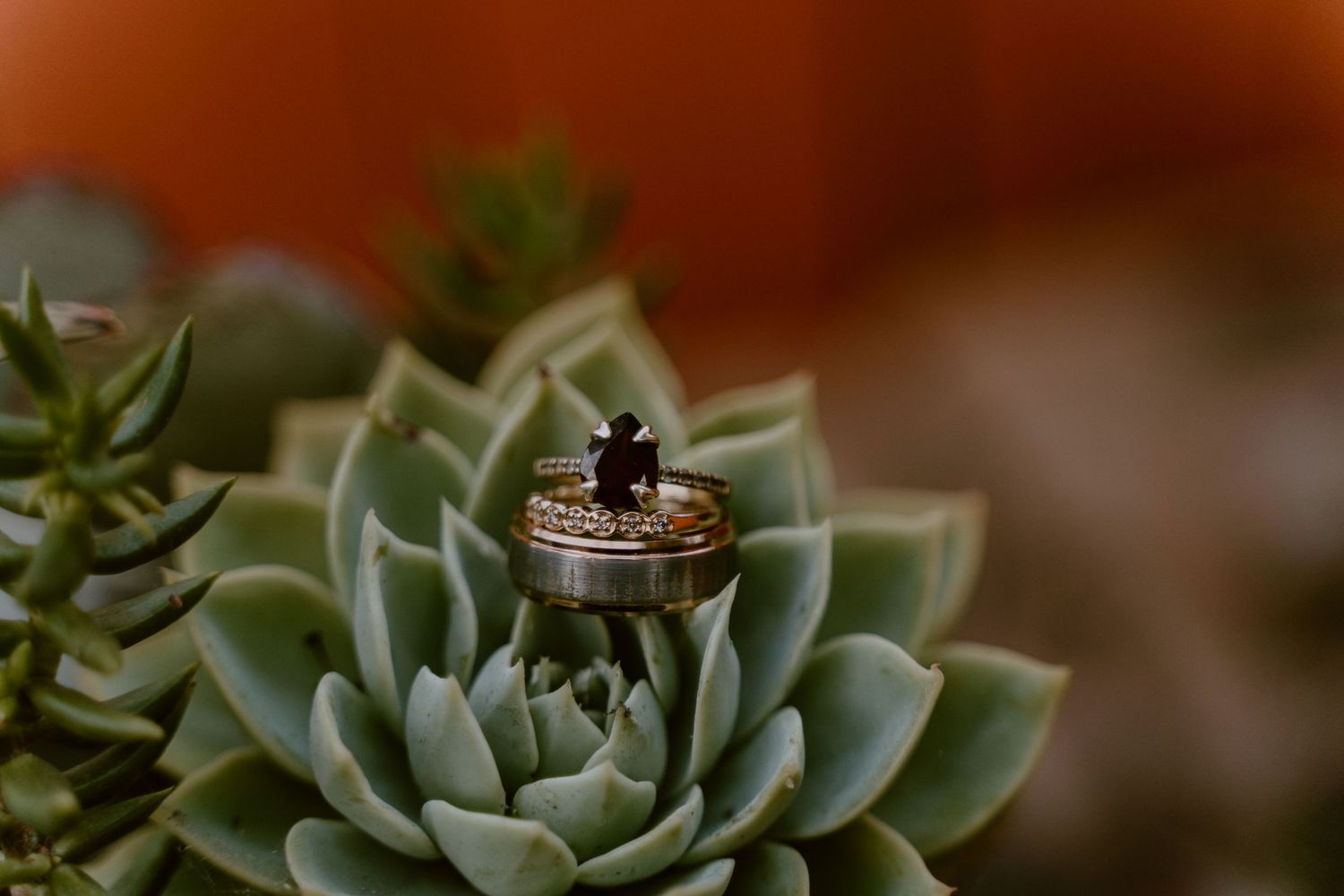 Ring Shot