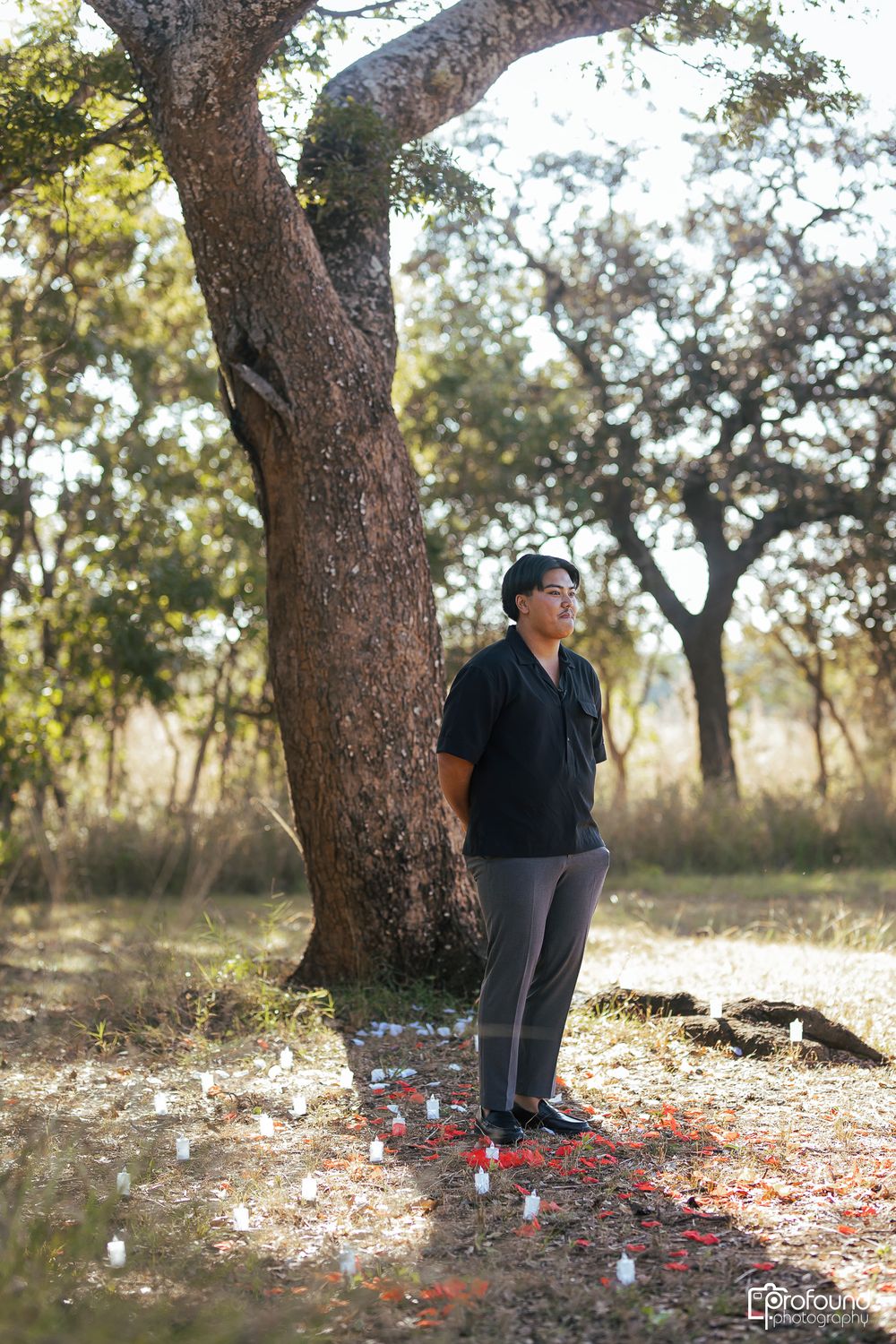 A solitary figure stands beneath a large tree on a path decorated with rose petals.