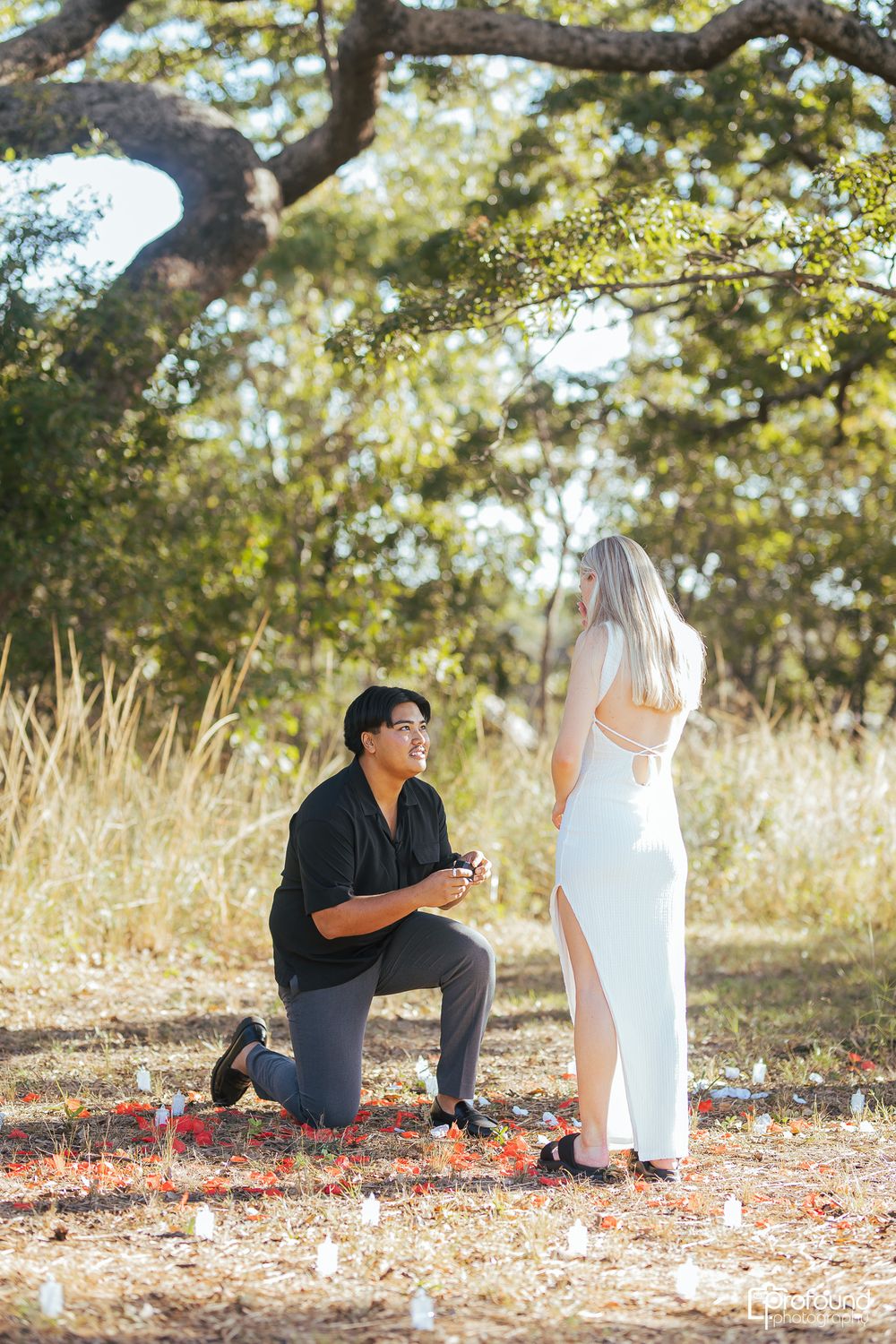 A romantic proposal moment between two people outdoors with rose petals scattered around them.