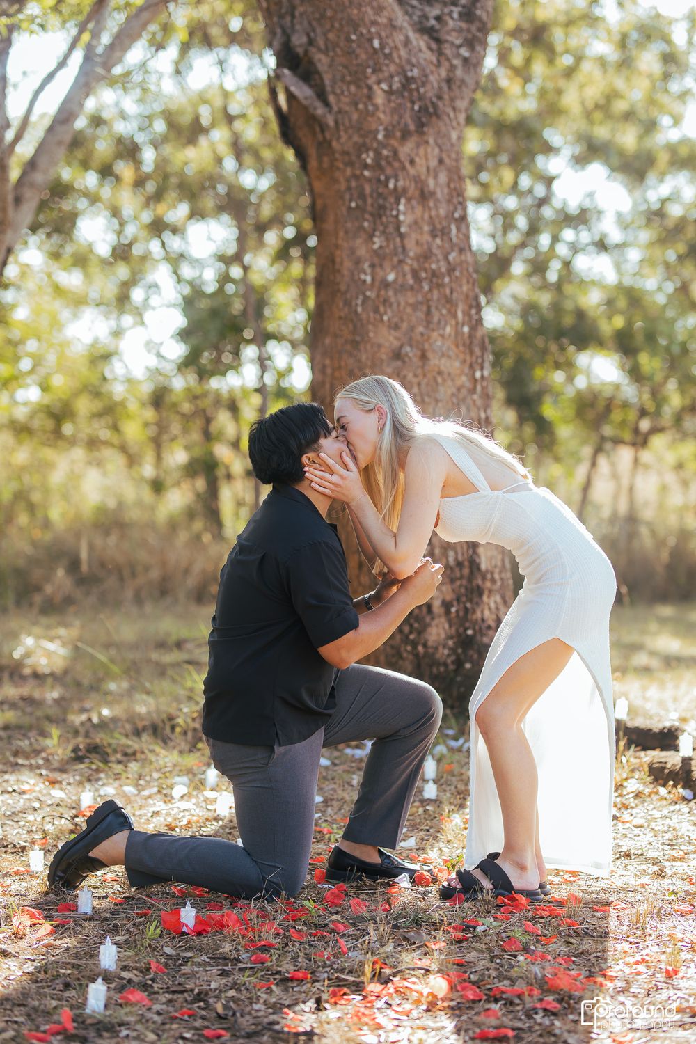 A marriage proposal scene under a tree with rose petals scattered on the ground during a sunny day.