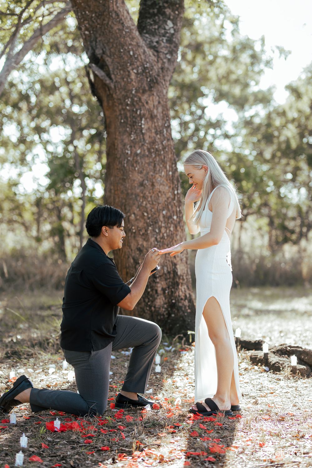 Romantic proposal scene with rose petals scattered under a large tree.