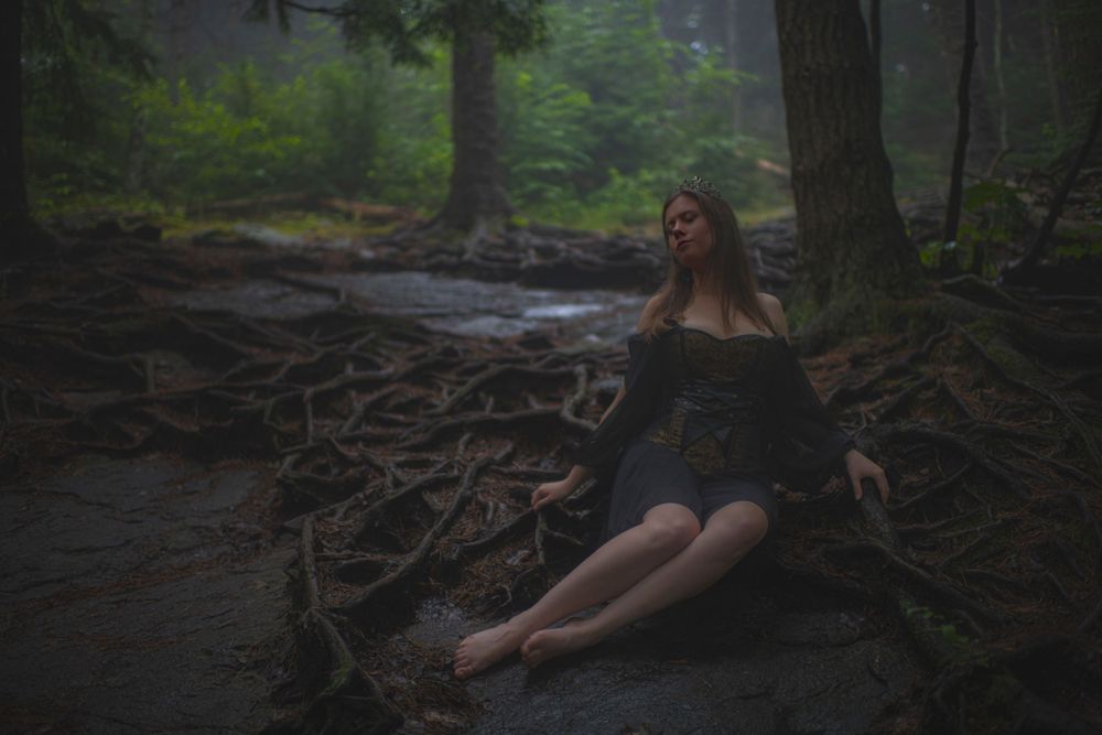 Atmospheric forest photography with subject in dark dress sitting among exposed tree roots.