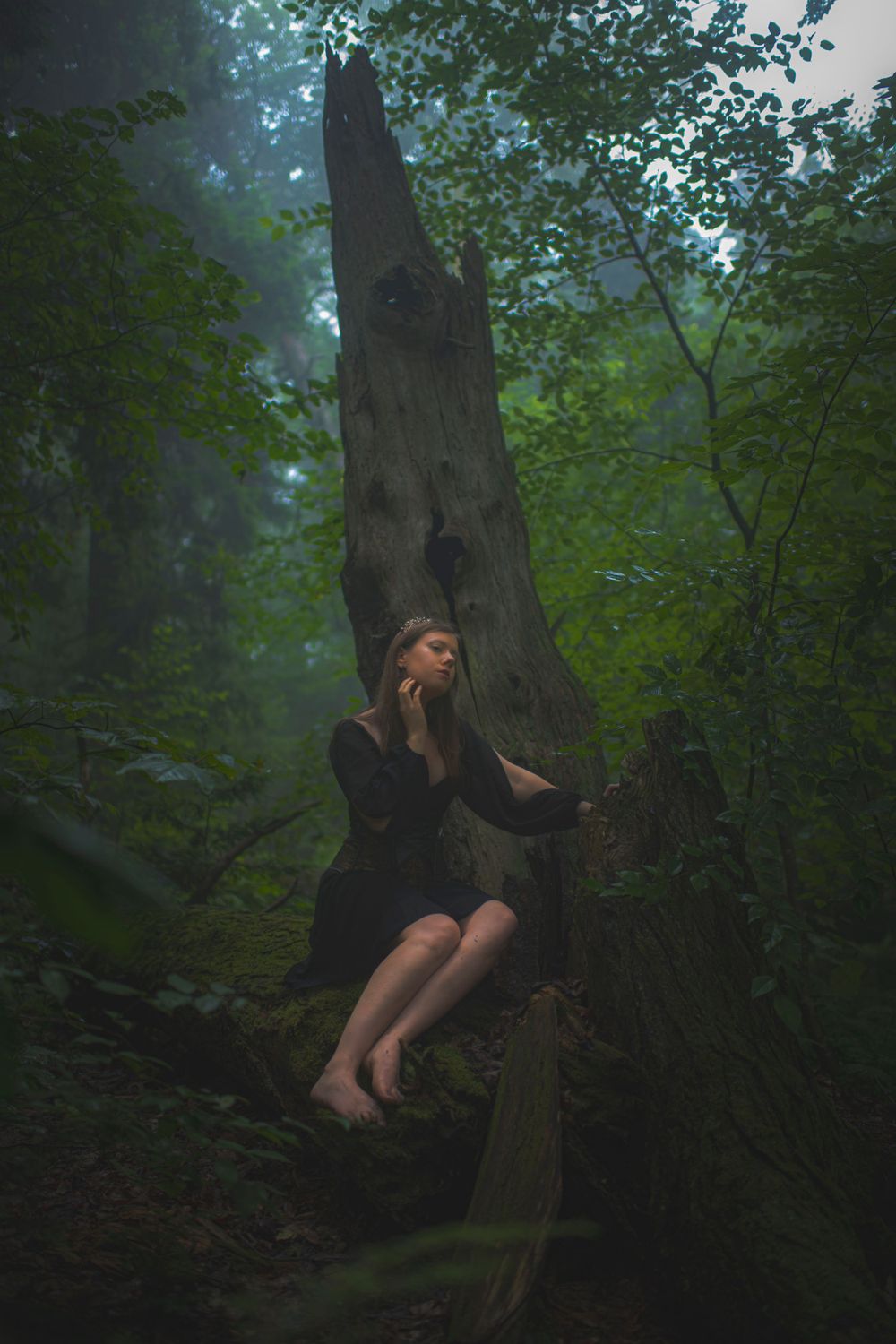 Artistic portrait of person in black dress perched on dead tree in misty woods.