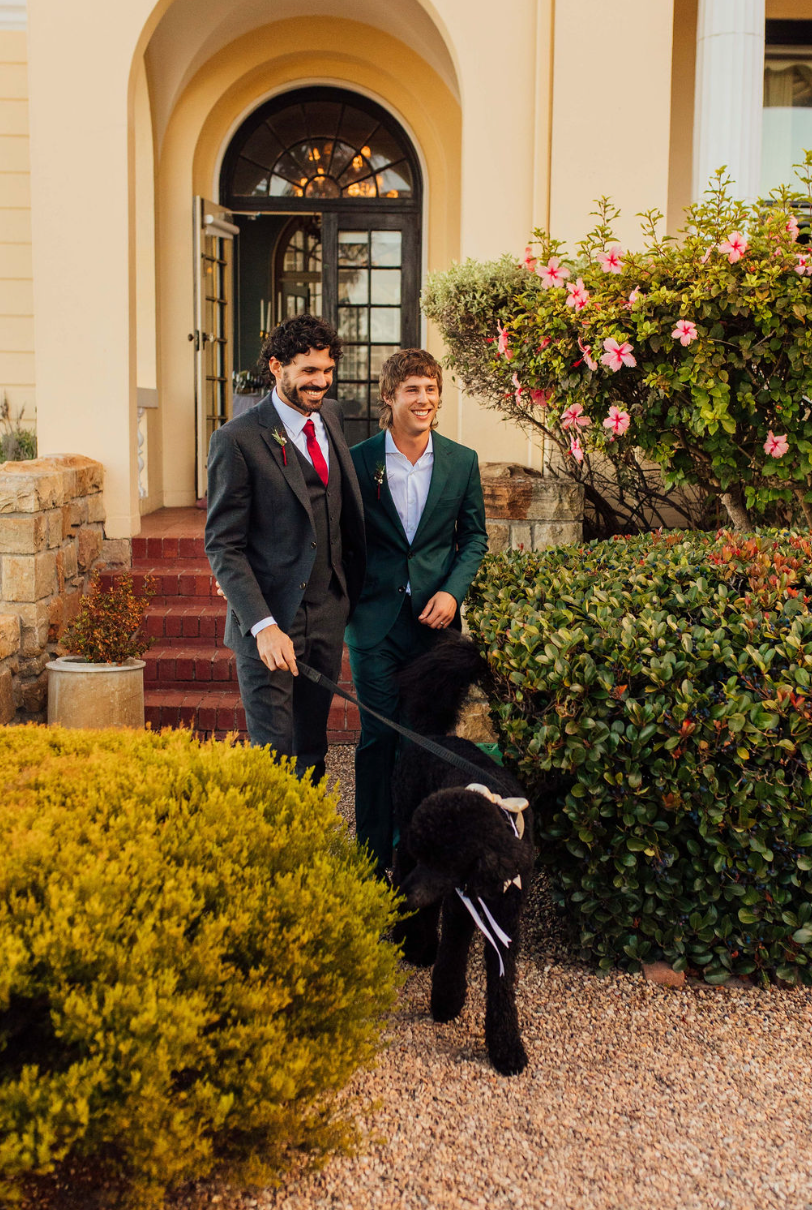 Two people stand on stone steps near flowering bushes with a black dog on a leash in front of an elegant entrance.