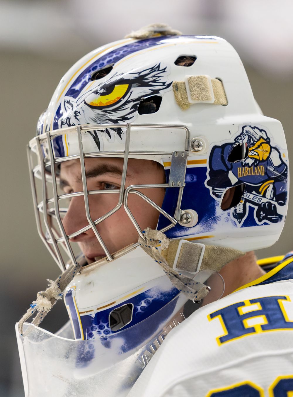 Hockey goalie mask detail showing a fierce eagle design in blue and white with yellow accents on protective headgear.