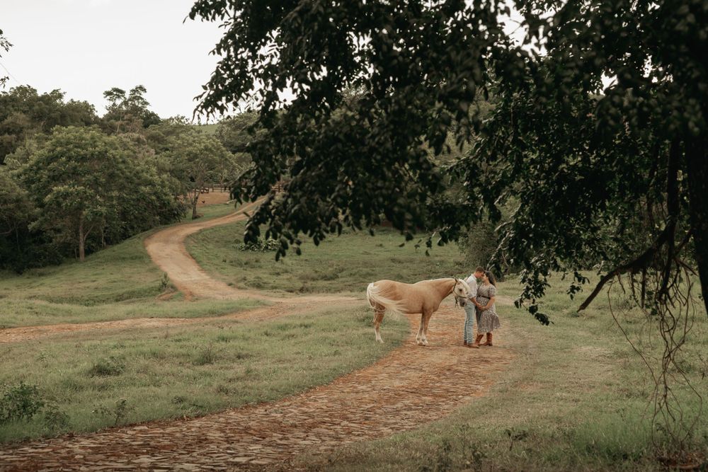 Two dogs walk on a winding dirt path through green rolling hills under overhanging tree branches.