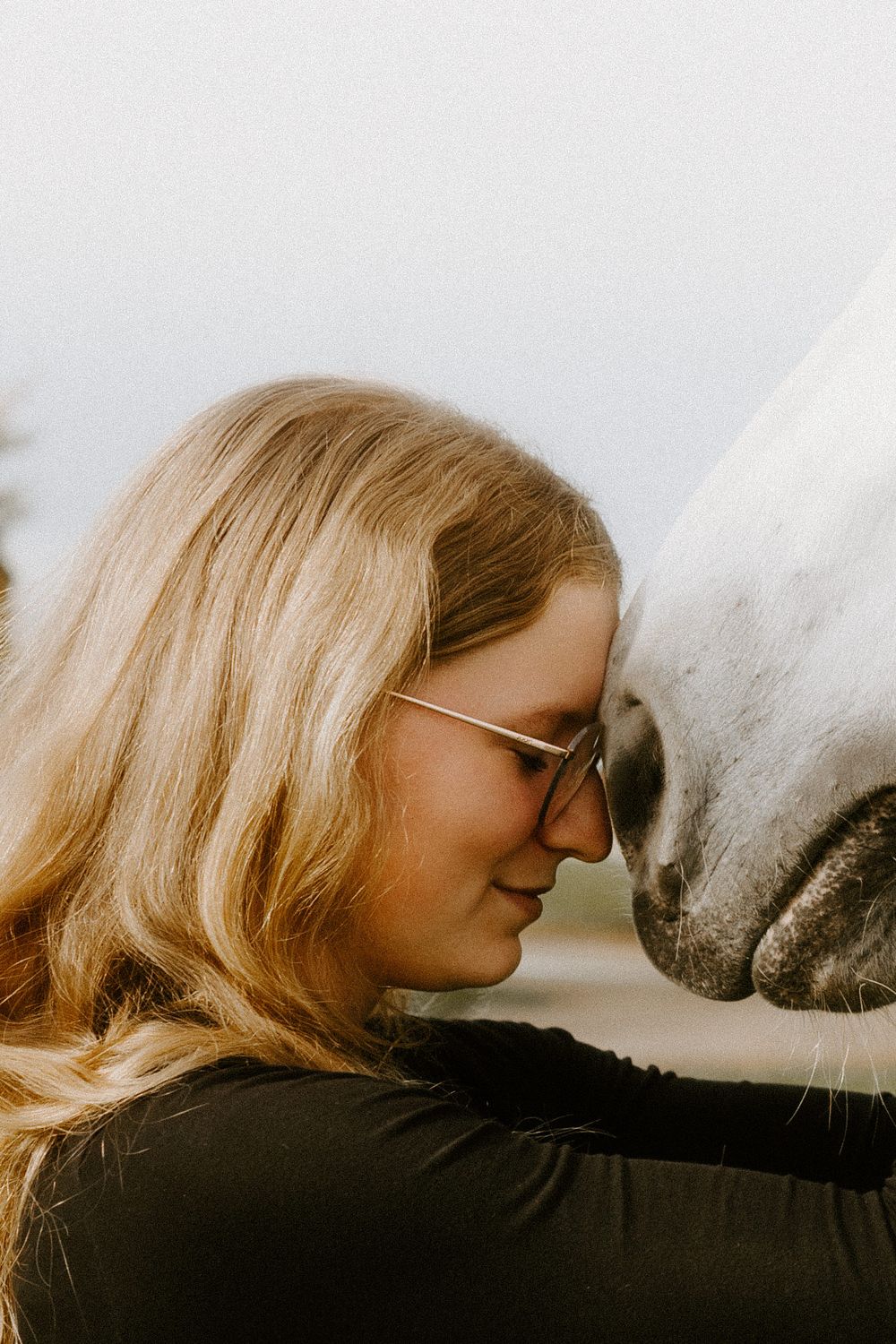 Intimate moment between a horse and person touching noses in warm golden light.