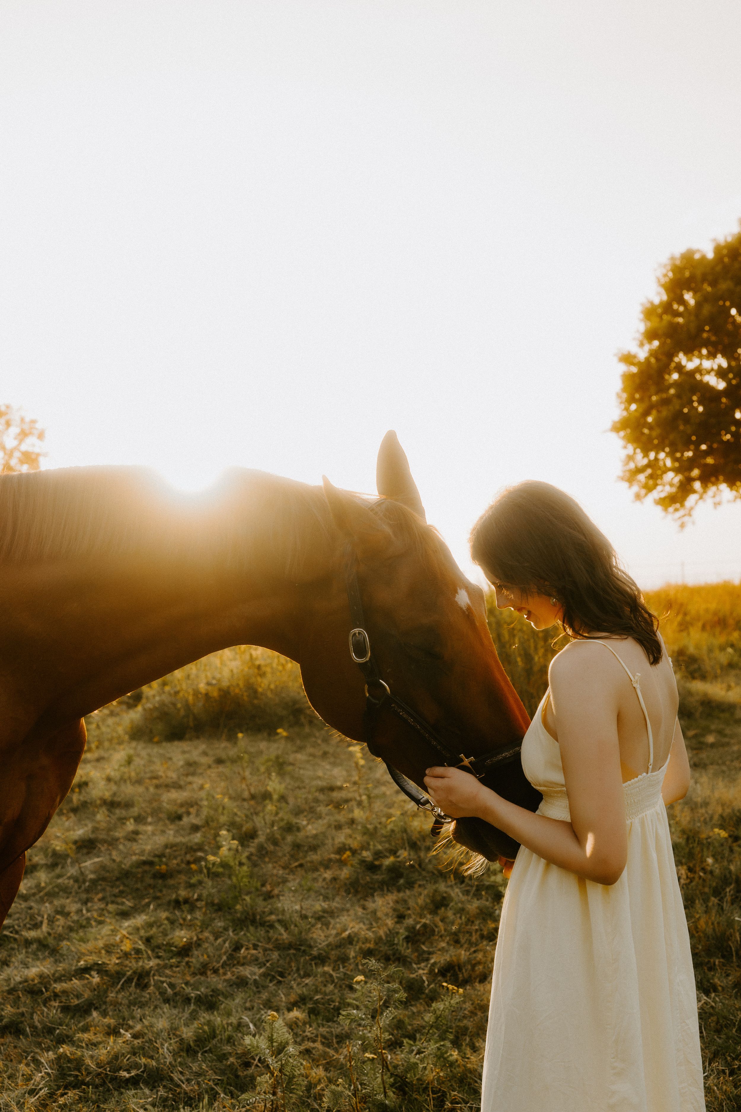 Woman in white dress interacting with a brown horse in a golden sunset field.