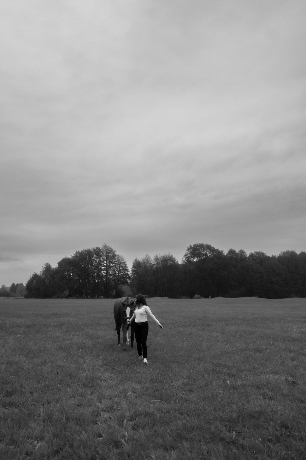 Two silhouettes walking across a misty field towards a tree line under cloudy skies.