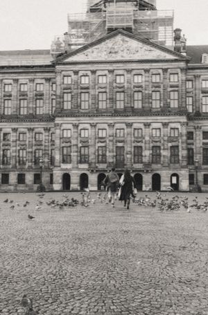 Historic stone building with cobblestone courtyard and pigeons in black and white.