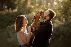 reactive anxious dog liverpool manchester