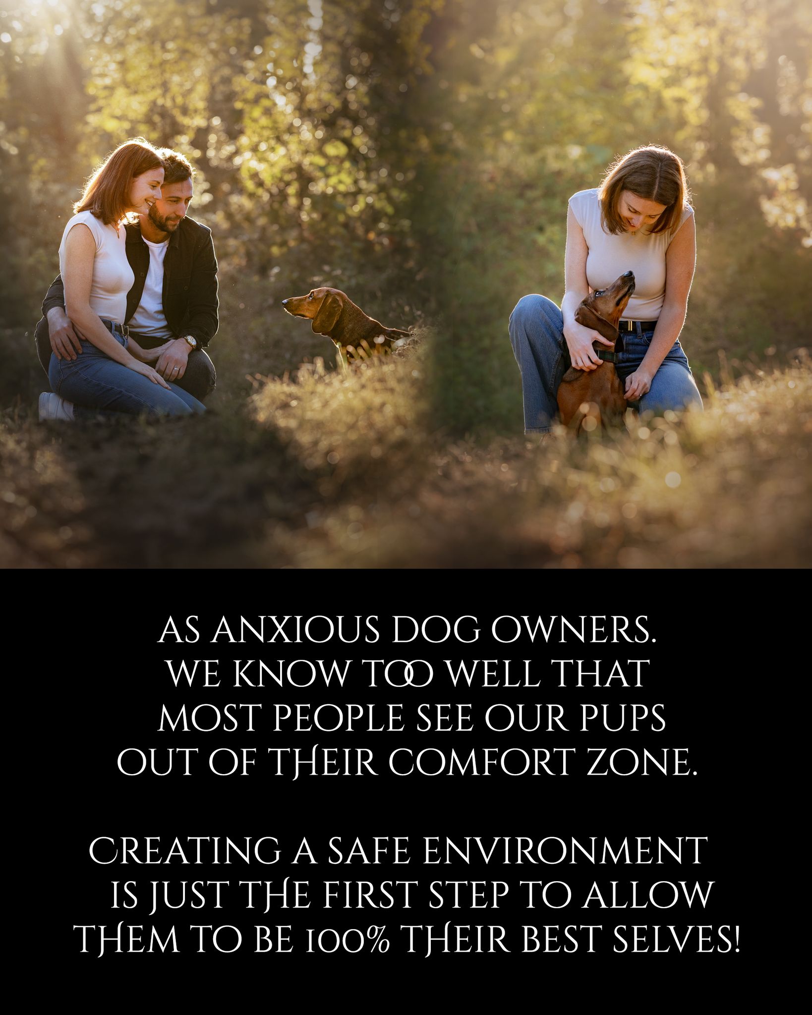 reactive dog photography formby liverpool