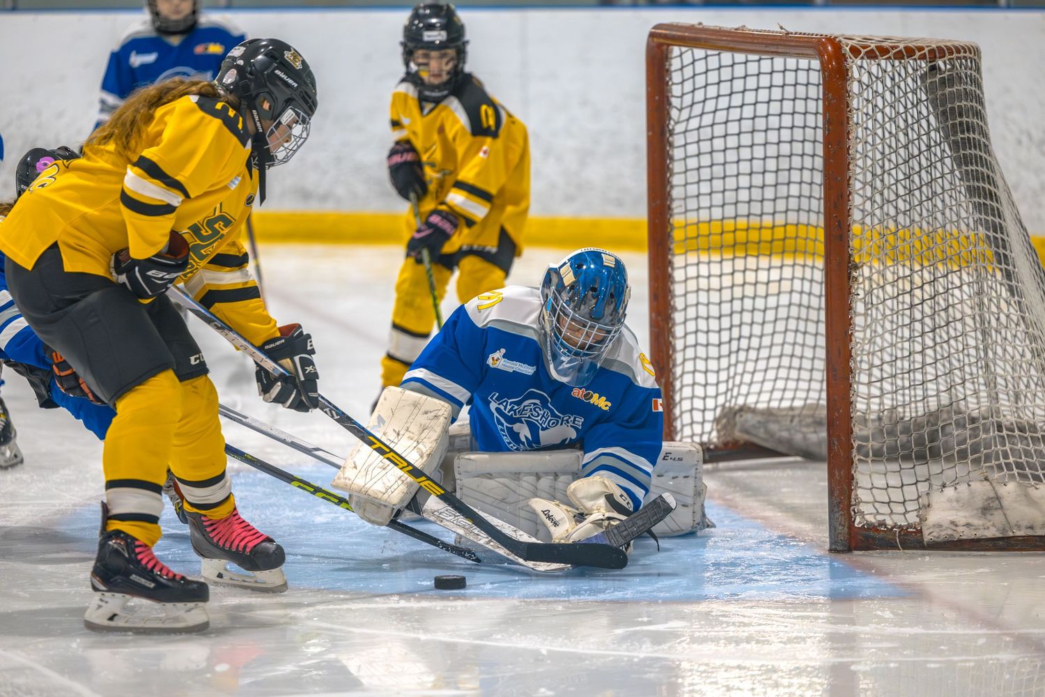 Stoney Creek Sabres Girls hockey players during game