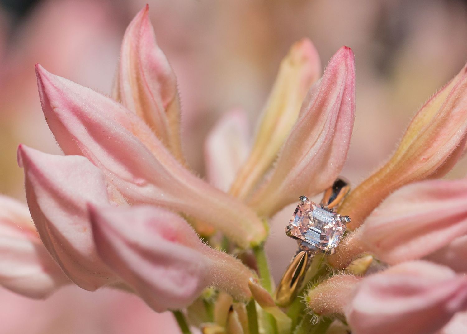 Bridal wedding dress, shoes, bouquet, rings, and jewelry captured during Appleton WI wedding, showcasing elegant, timeless details