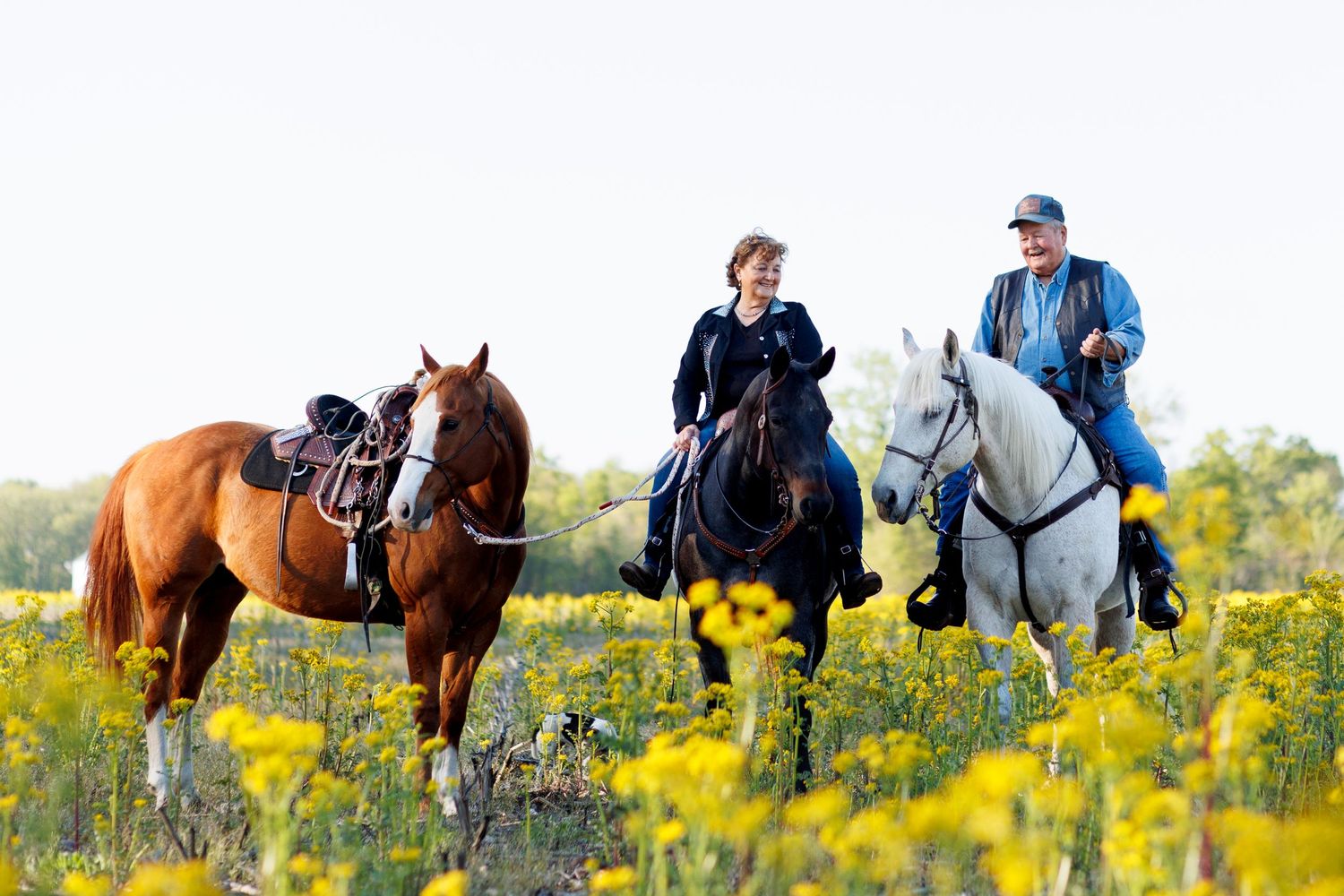 A couple sits on their horses having a pleasant conversation while the photographer gets her settings locked in.