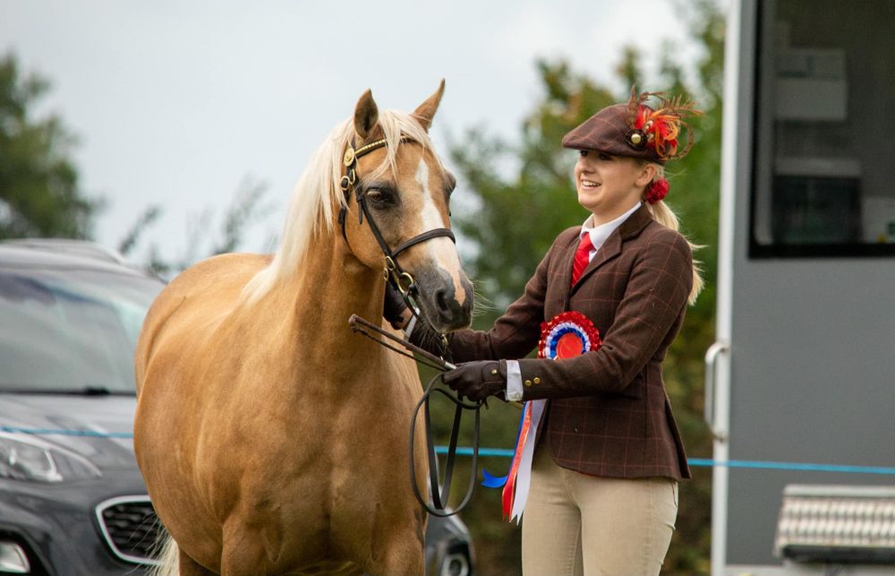 A palomino show horse stands with handler wearing traditional equestrian attire and red ribbon.