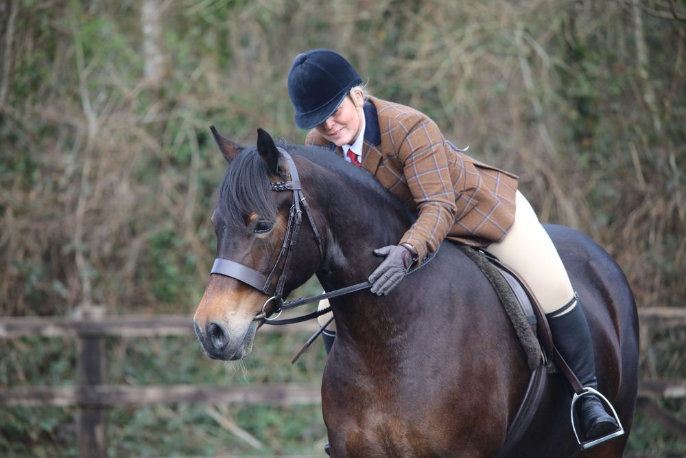 A bay horse and rider navigating through wooded trails in winter.