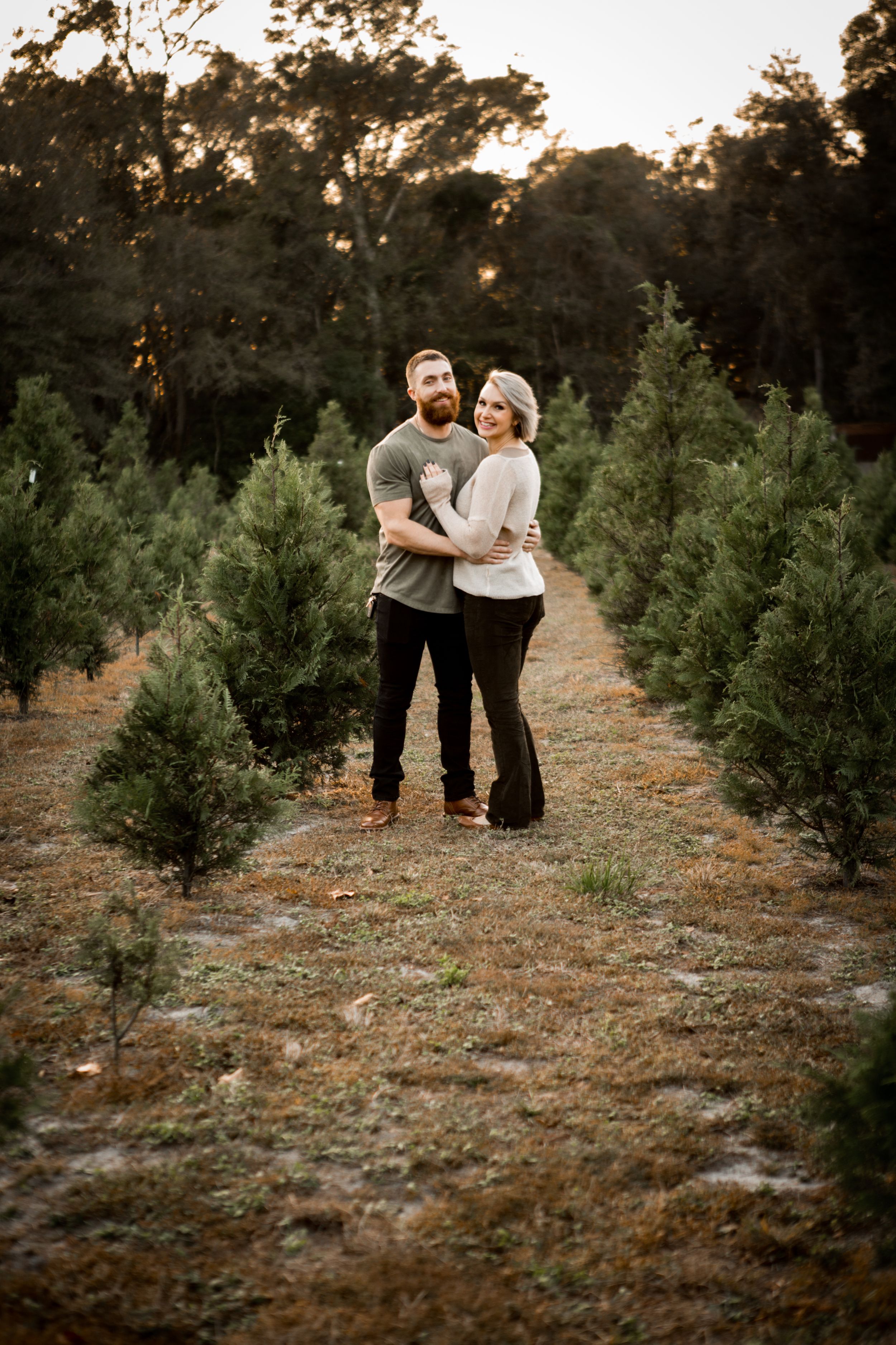 Couple embracing among evergreen trees at Christmas tree farm during sunset.