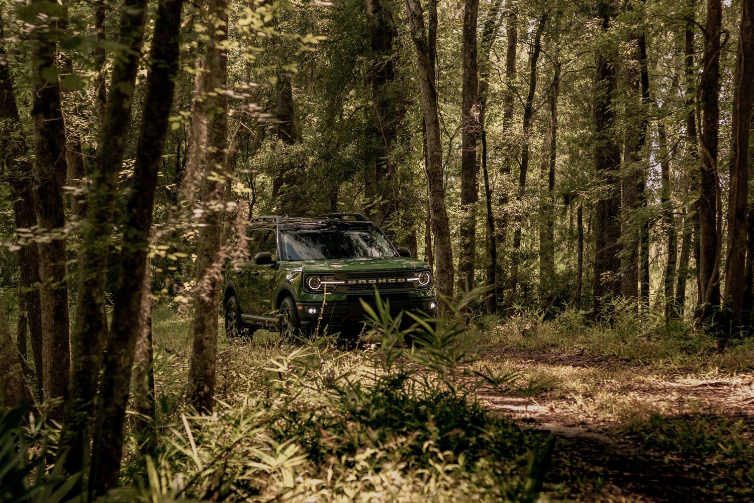 Dark green SUV partially hidden among trees on a forest trail.