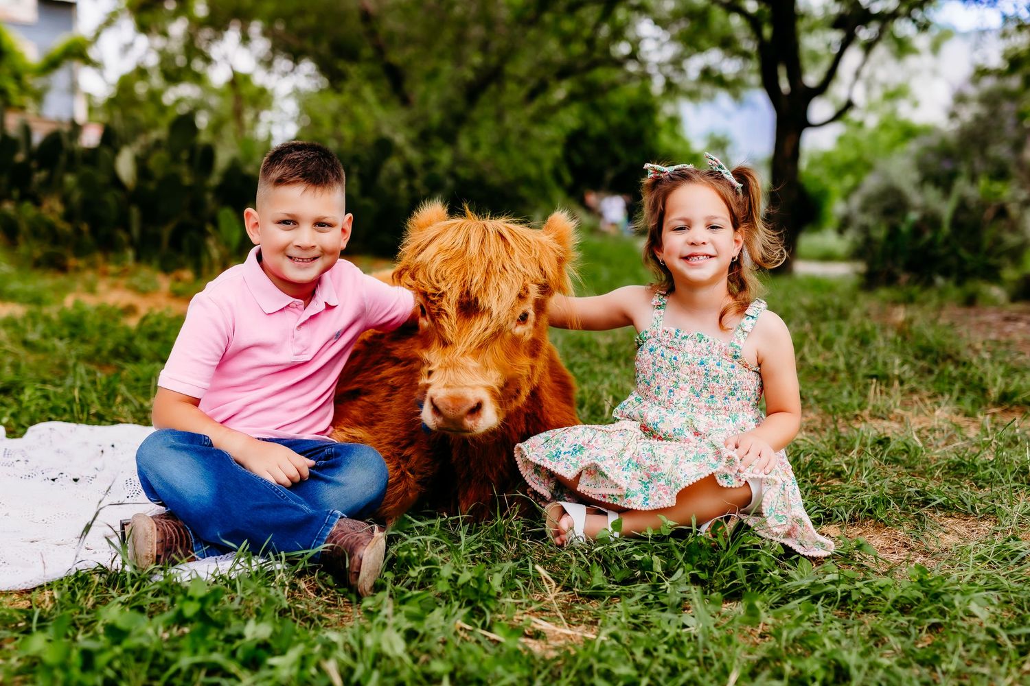 Two children sitting in green grass with a shaggy brown Highland cow between them on a sunny day.