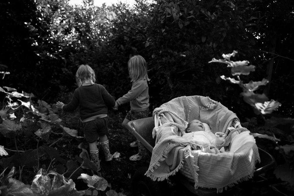 Fratrie dans un jardin, séance nouveau-né à domicile à Beersel et alentours par photographe de famille Alexia Sohet