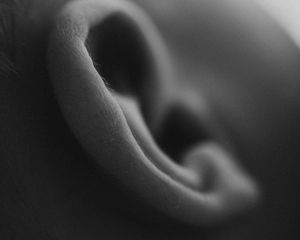 A black and white macro photograph of a human ear showing soft curves and shadows in close-up detail.