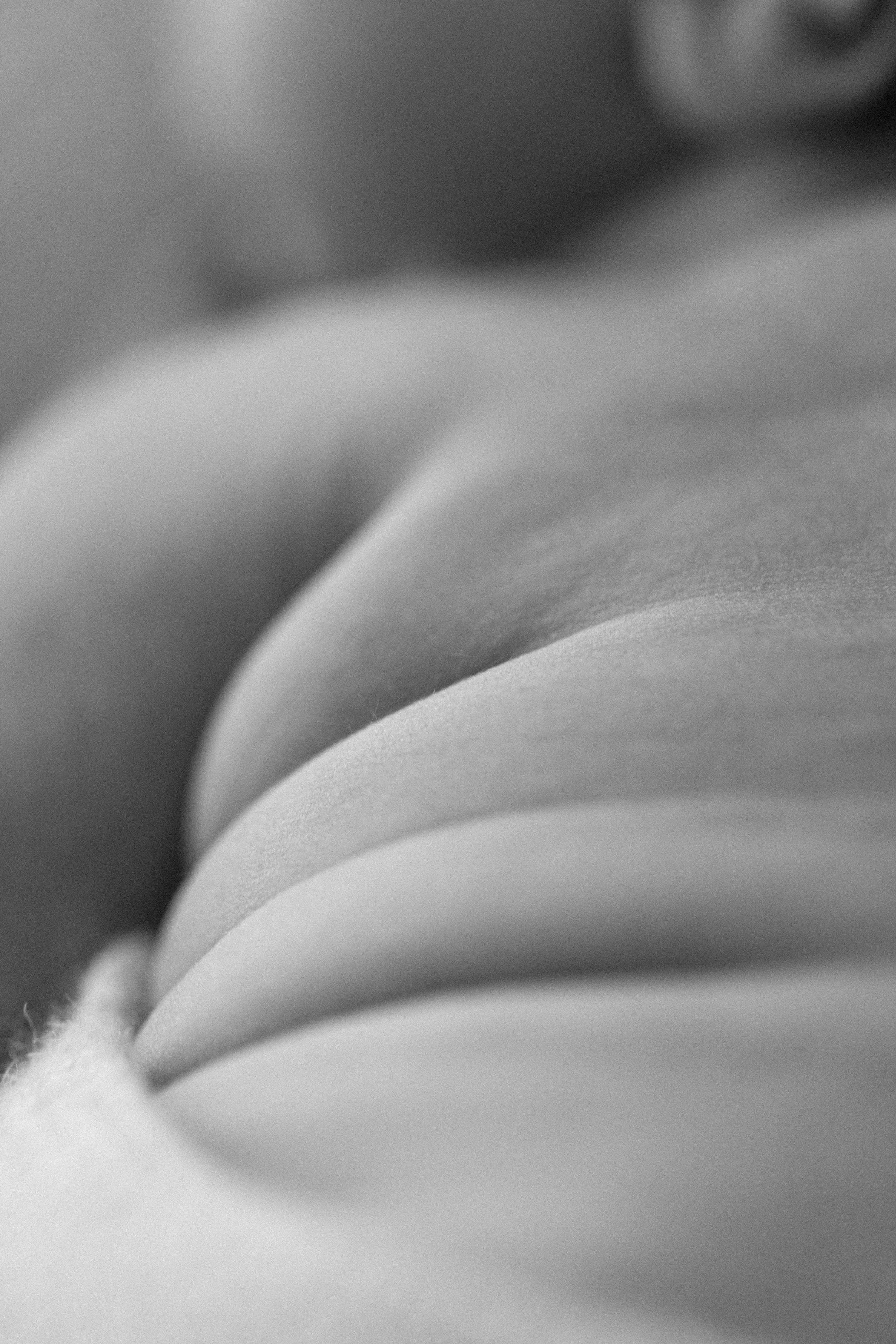Close-up macro photography of smooth curved surfaces in black and white creating an abstract pattern.