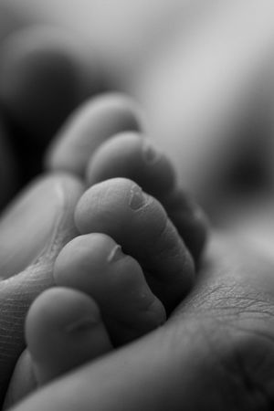 A series of shallow depth of field macro shots showing fingers gently touching each other in black and white.