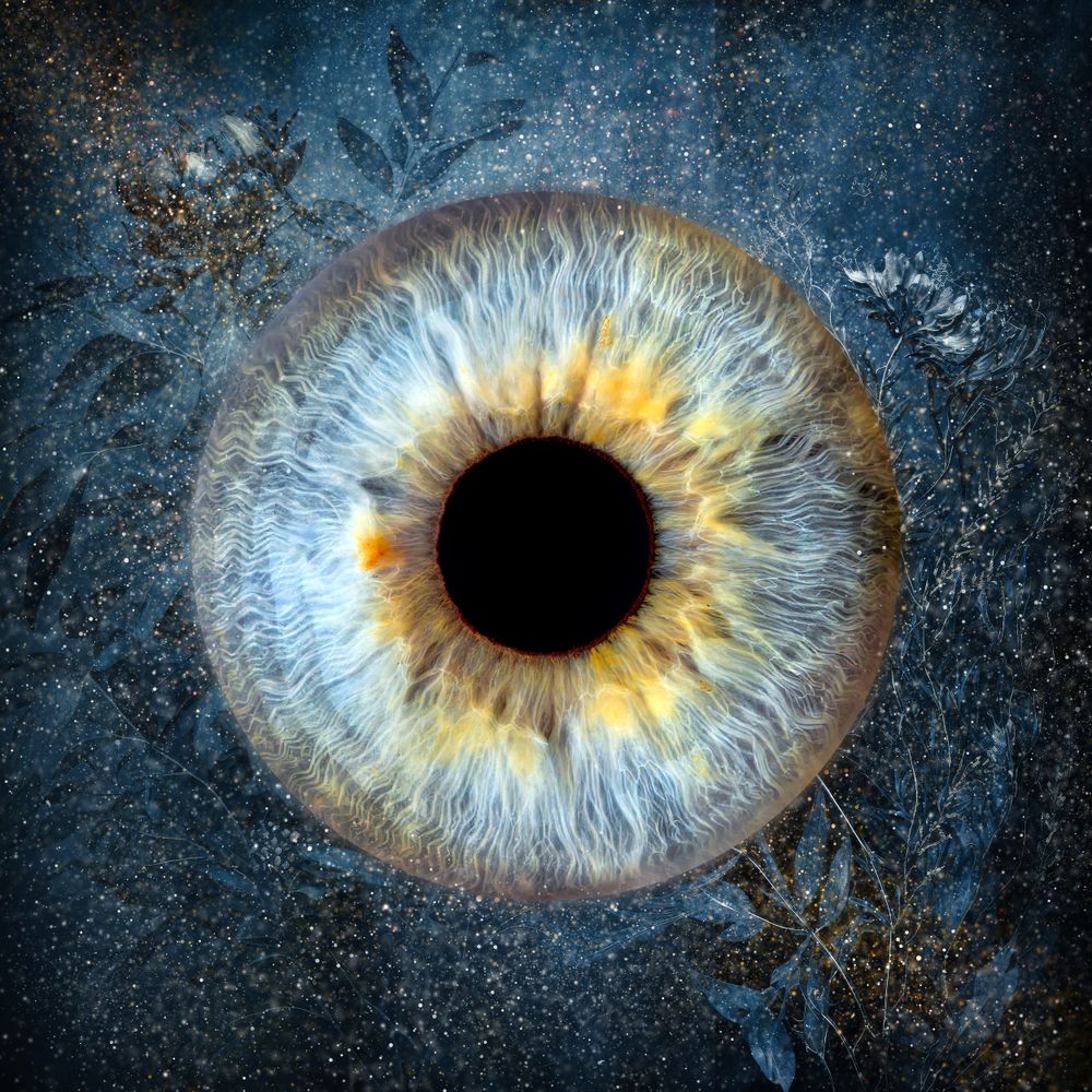 iris