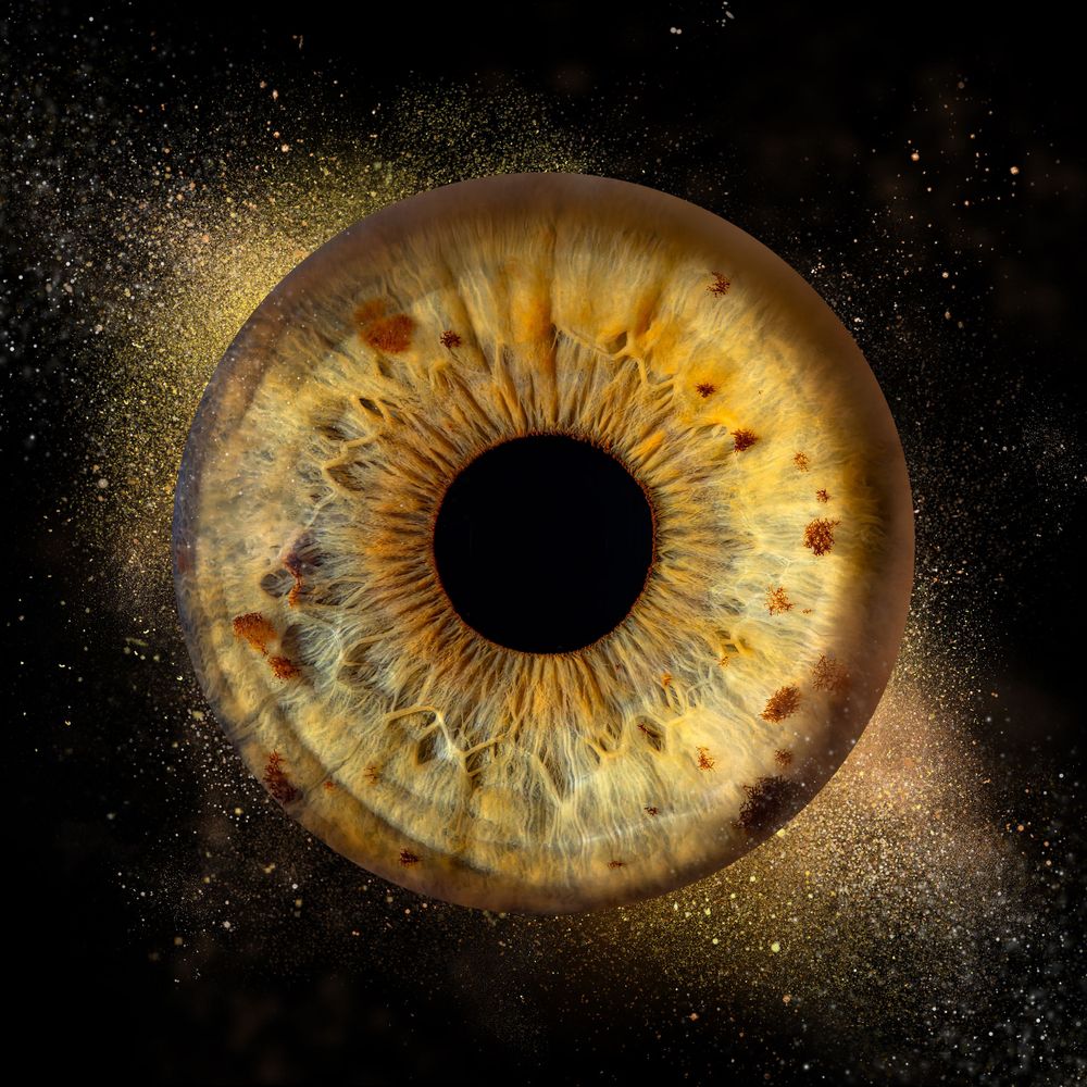 iris