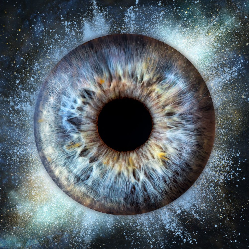iris