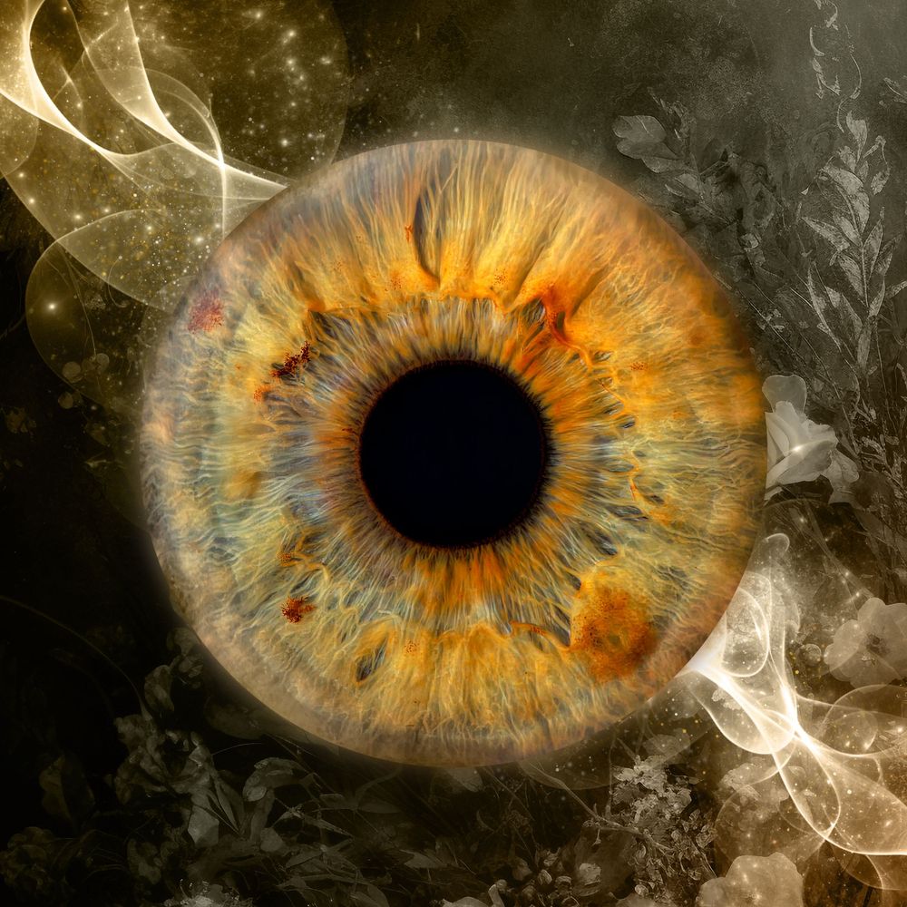 Photographie artistique d'iris en macro au studio à Jonzac 17500 2 rue du Four
Photographe Portraitiste de France en Charente-Maritime