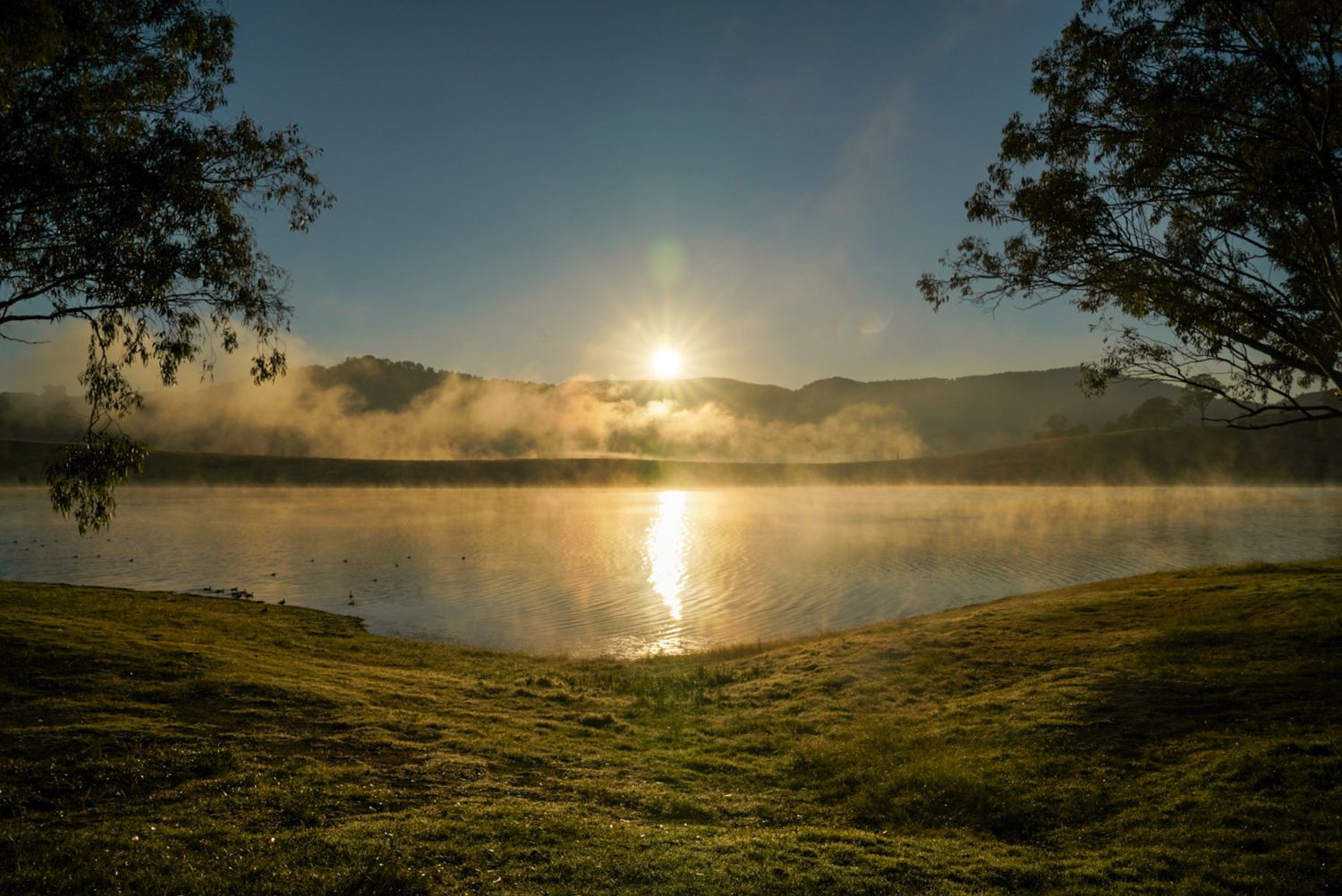 A beautiful sunset nature photography at a camp ground in Sydney.