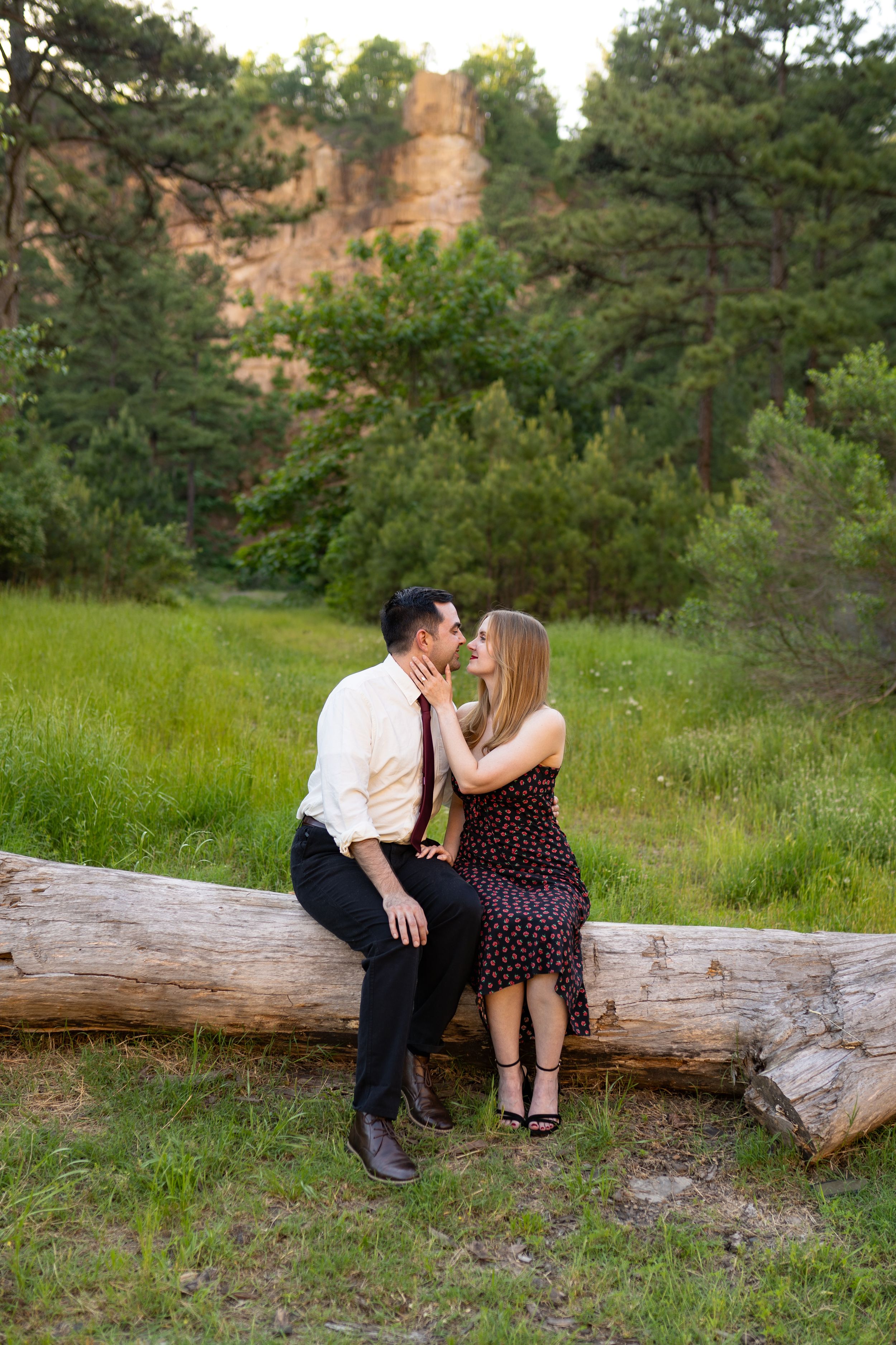 Romantic couple sits together on fallen log in grassy meadow surrounded by pine trees.