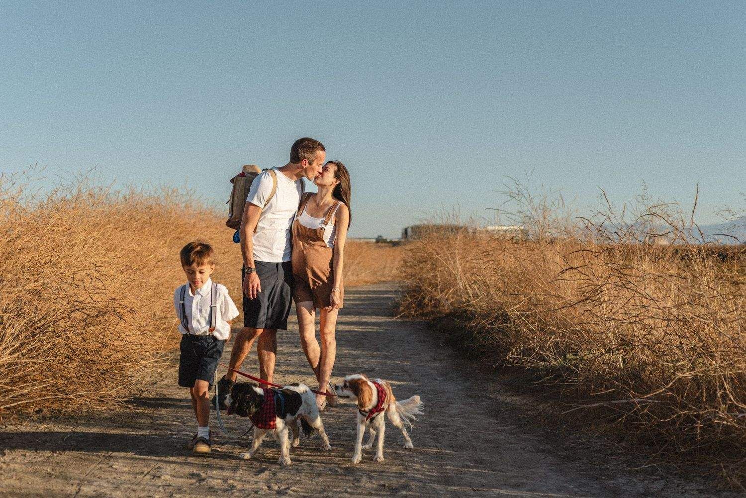 Family walking dogs on trail through golden grass field at sunset.