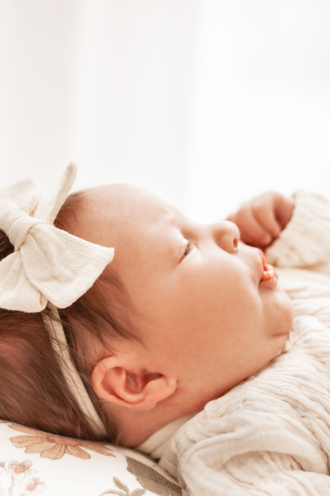 Family photos in dupage county Illinois