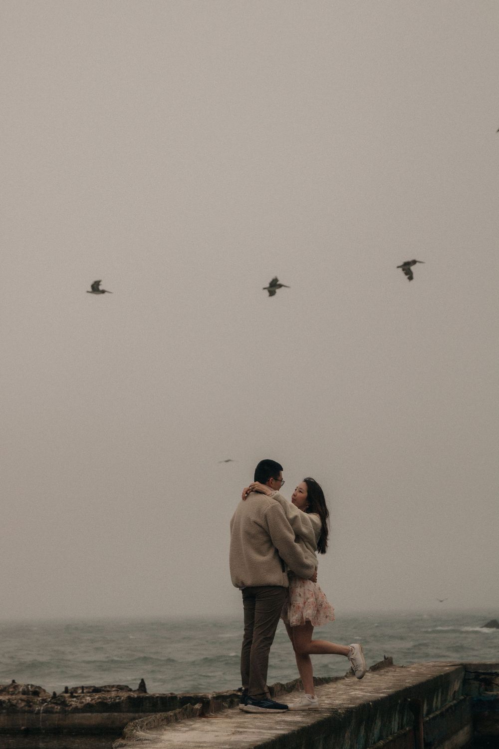 A couple embraces on a misty pier with birds flying overhead in a moody grayscale seaside scene.