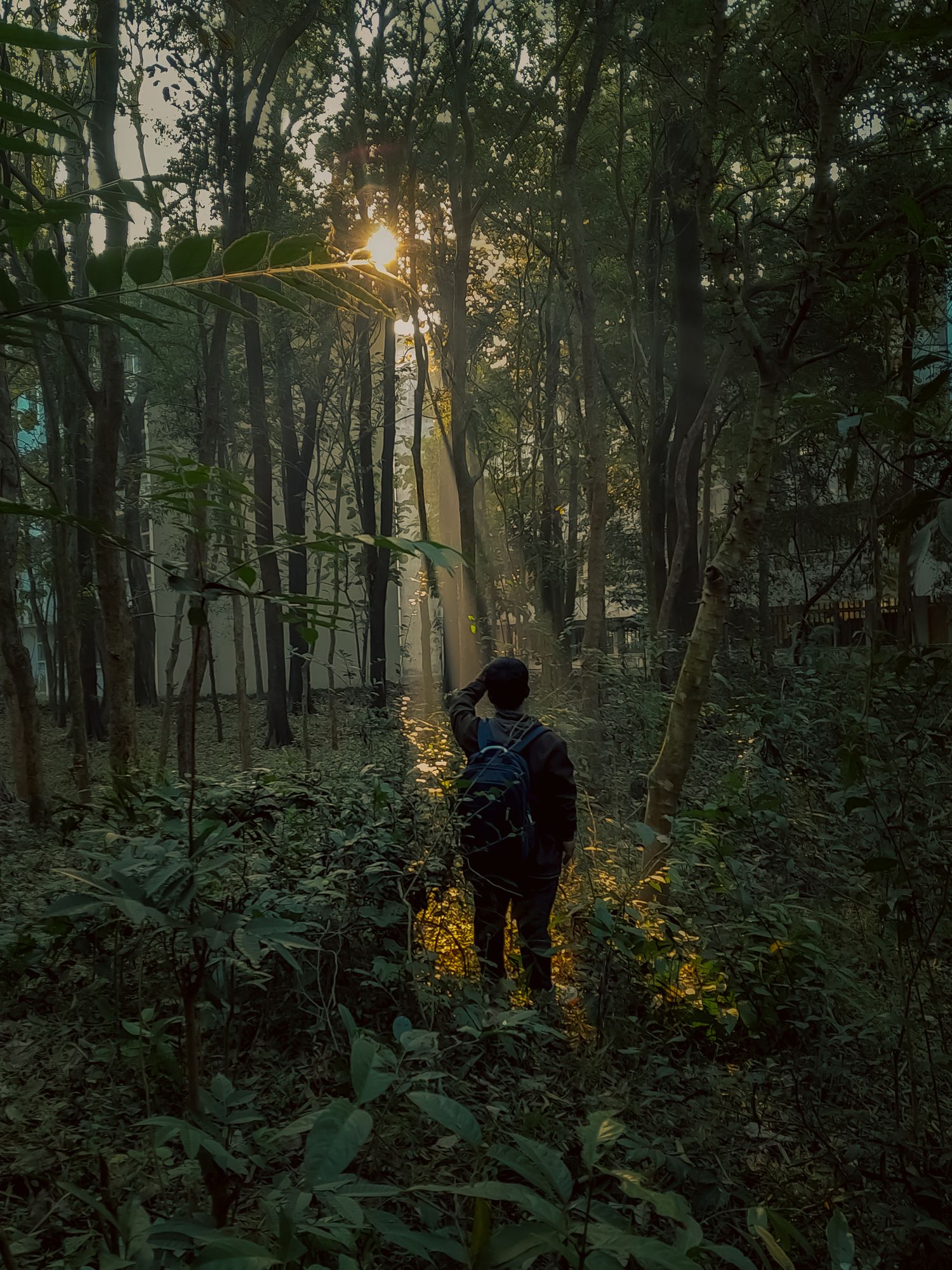 Winter Morning.

#ElysianLightBD #elysianlightbd