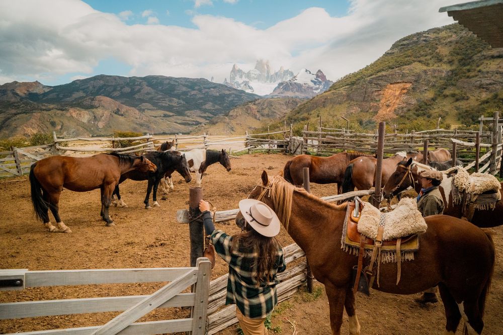Horses gathered in a corral with snow-capped mountains visible in the distance.