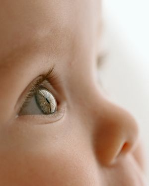 Extreme close-up profile view showing a bright hazel eye and nose against soft beige skin in natural light.