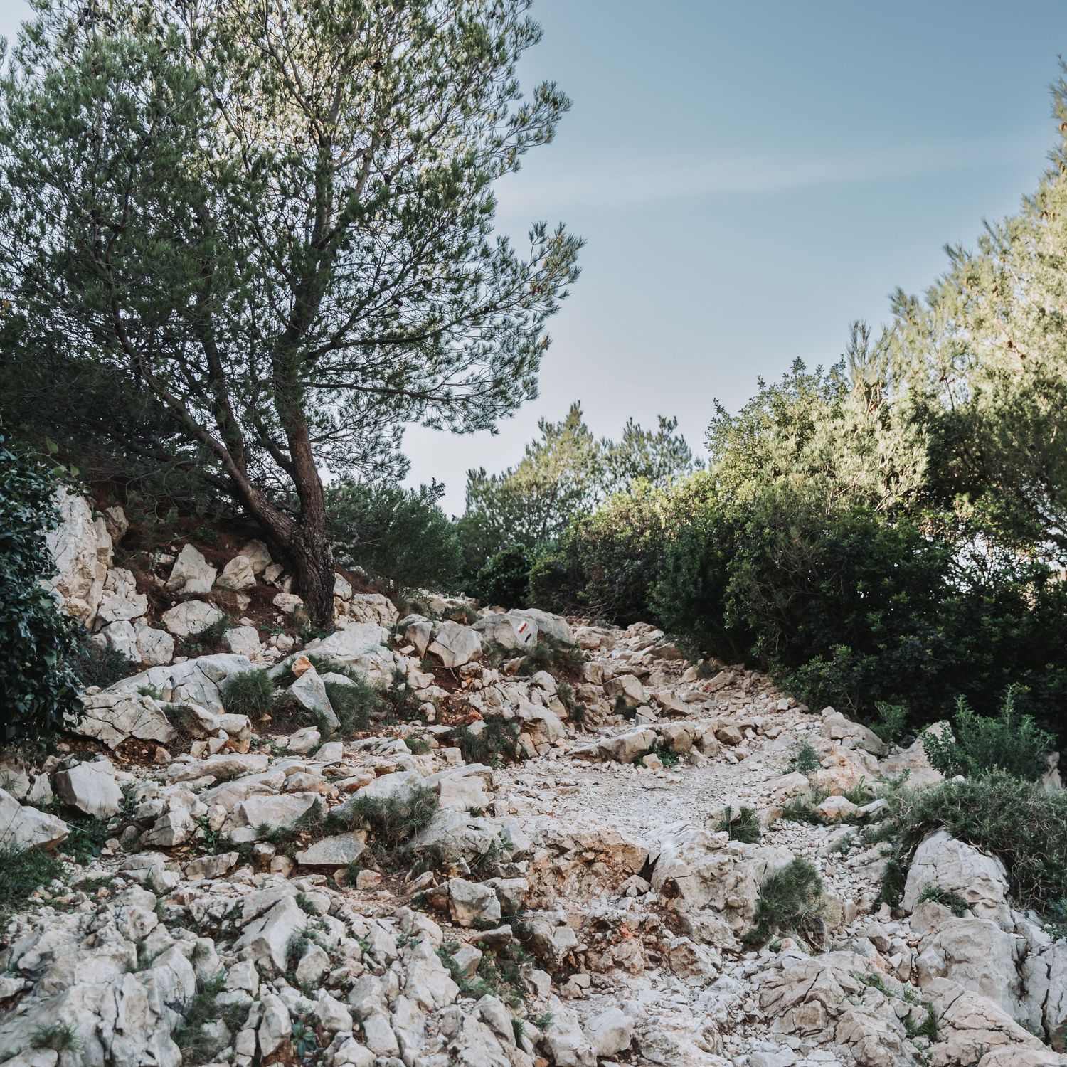 Photo d'un chemin de randonnée très jolie